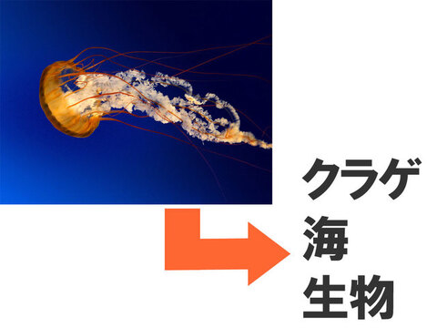 PHPで画像ファイルからタグ(キーワード)を取り出す